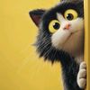 hussnain.hussnain6672