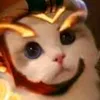 duc.anh.tkdhk0