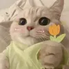 hoanganhnek_3
