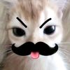 lovlovmark_