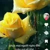 a.hin173