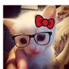 allison.tuj.abac