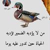 user38109943024725