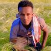 taade18