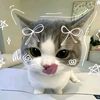 itz.rabbi_27