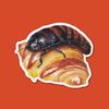 theodorethecockroach