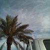 saddhs7