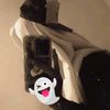 aneklp_amelcs