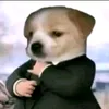 nammoadidaphat344