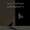 adeel.ahmad4899