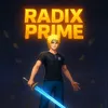 radix.joga