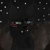 crowtheflight1