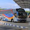 rzaki_05busmania