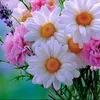 user19671760391438