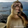 givememonny03