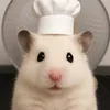 milkshake.ham