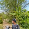 ardi37473