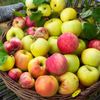 grannysgreenapple8