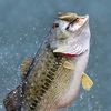fishingwithjr1