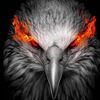 bigbirdman23