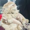 aiza.ali.666