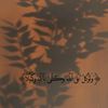zinhom01