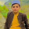 habib.ullah.18