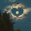 _tfj1