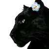 yy_77xx