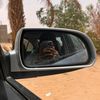 youssef_al_bousifi