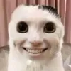 usernigga34