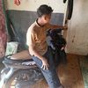805penceng