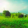 explorewithshangla5