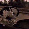 ko_zozo1