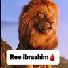 khadar.araarso.d55