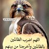 moahmed6316