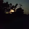 ellenpantoja972