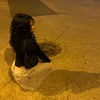 tr3luiza