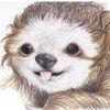 silas.sloth
