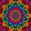 user4396015618813