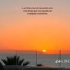 luis.perales690