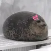 theonepnr