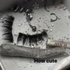 lolpawwsum