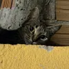 isamercedz