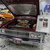 storm.carlover12