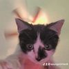 seungminfan8