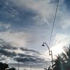 muf_cegan
