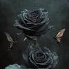 roselyn29804