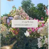hiba_h79