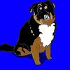 thoseworkingdogs66